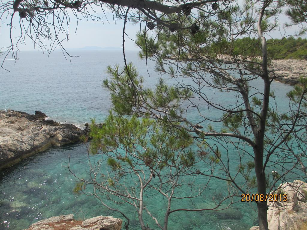 Apartment Falcon Stari Grad  Exterior foto